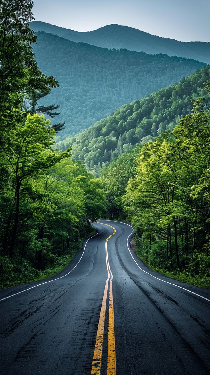 “认购碳汇”抵责存挑战，专家建议严格规范适用范围