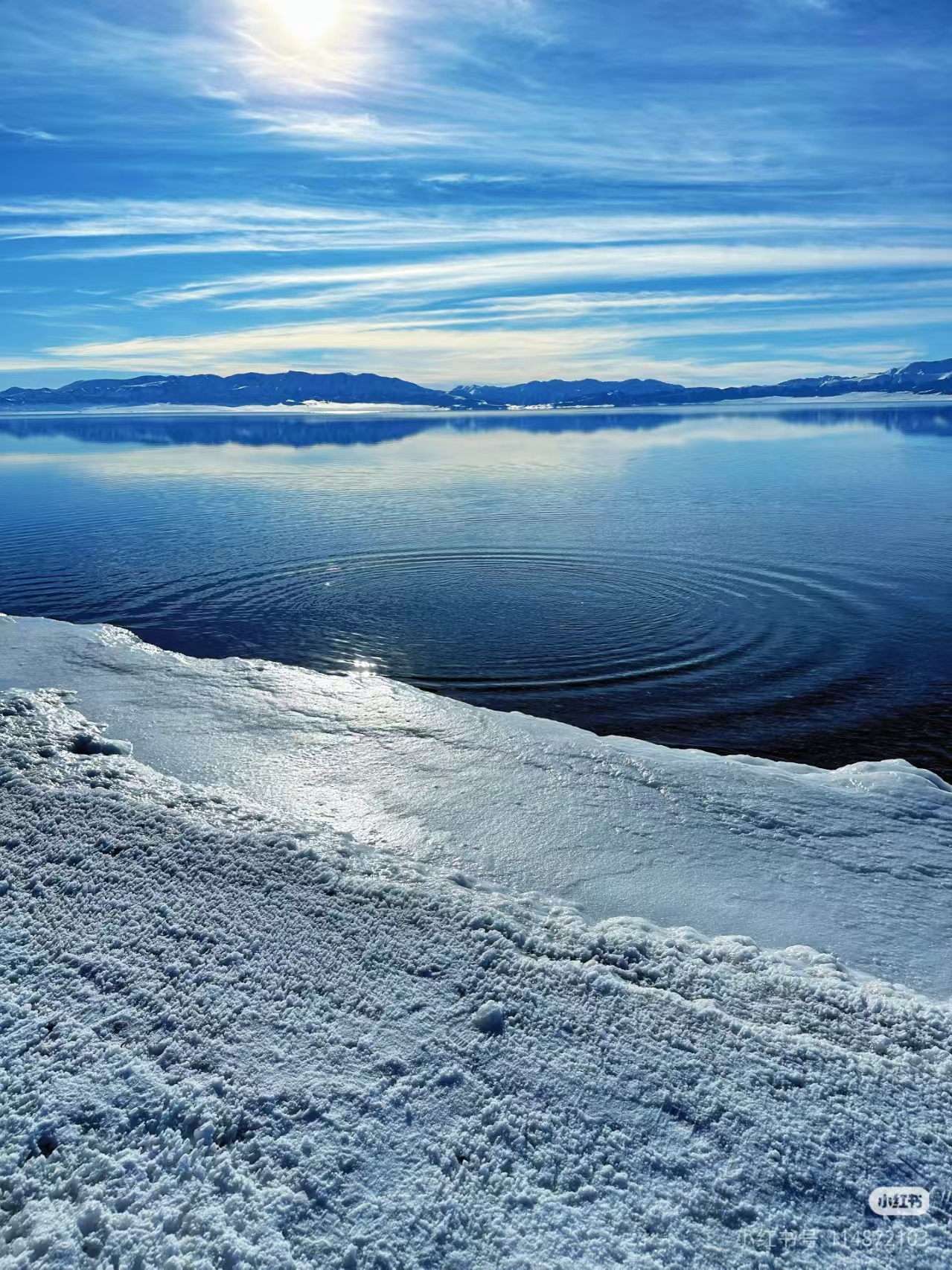 中国信保以绿色金融助力“双碳”目标