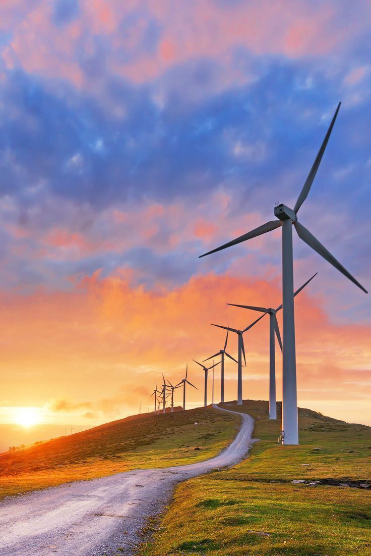 央企绿色发展“双碳”平台启动