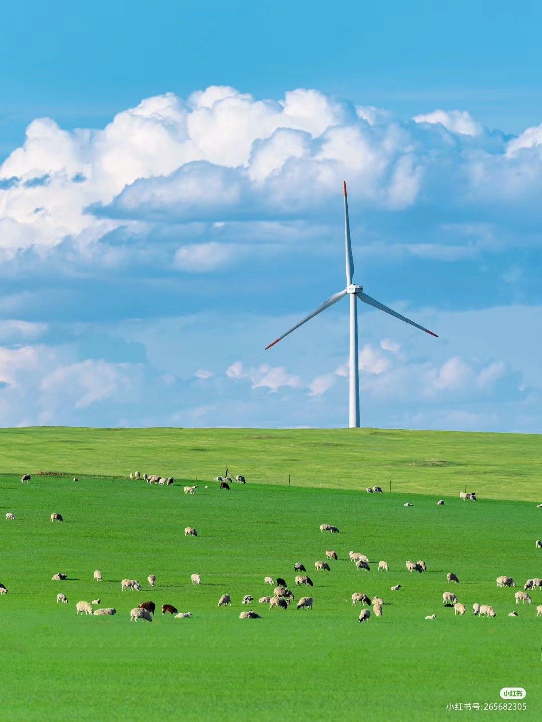 国务院常务会议审议通过《制造业绿色低碳发展行动方案（2025－2027年）》等