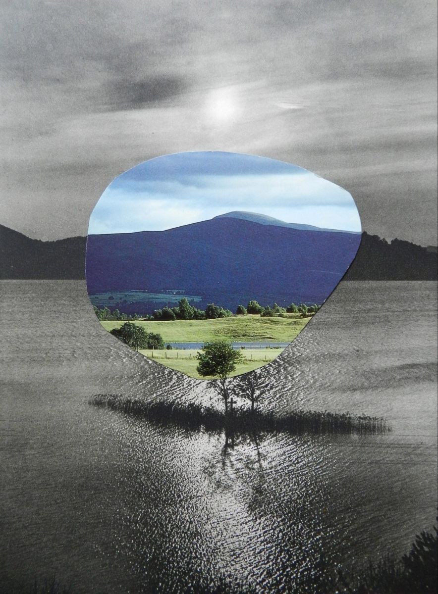 12月1日实施！3项林草碳汇领域国家标准正式发布