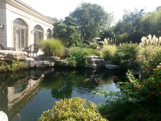 园林景观（一）