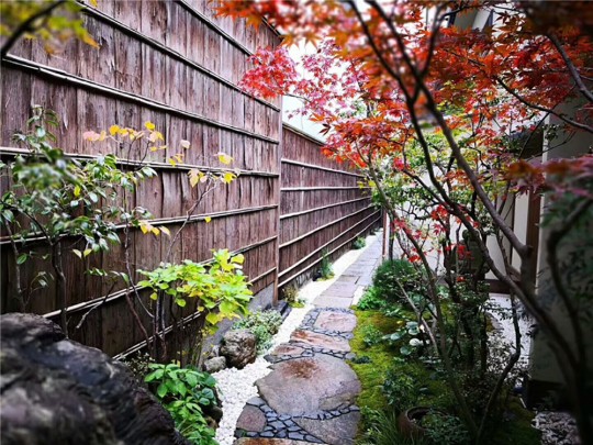 园林景观（二）