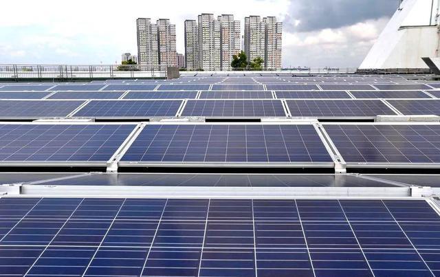 新加坡签署超过200万吨自然碳排放额度协